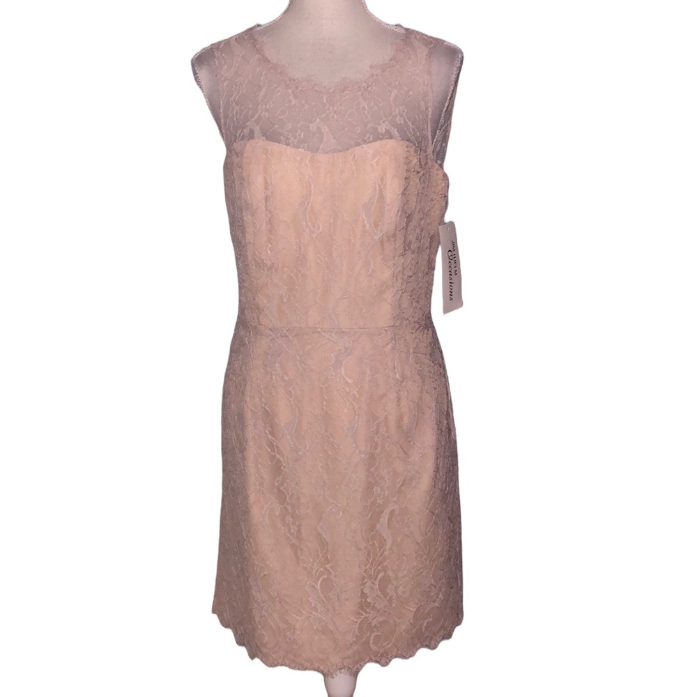 Elegant Lace Midi Dress in Cream